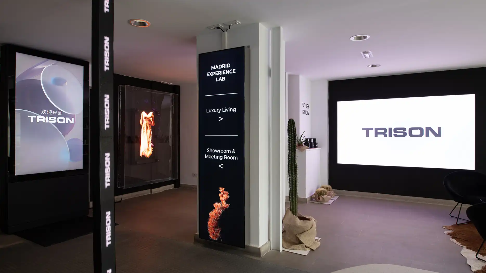 TRISON office in Madrid, Spain, supporting audiovisual and digital projects.