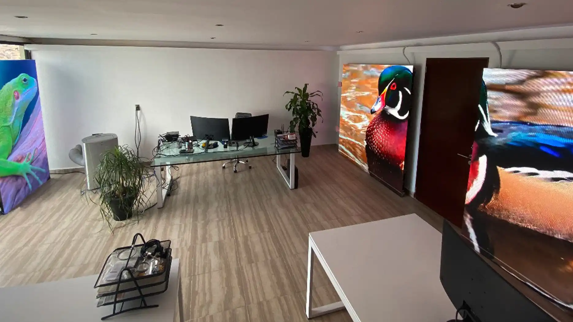 TRISON office in Mexico, supporting audiovisual and digital projects.