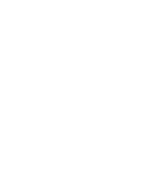 Casademont Zaragoza logo